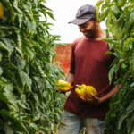 The Benefits of Eating Fresh Produce: A Guide to a Healthier Lifestyle