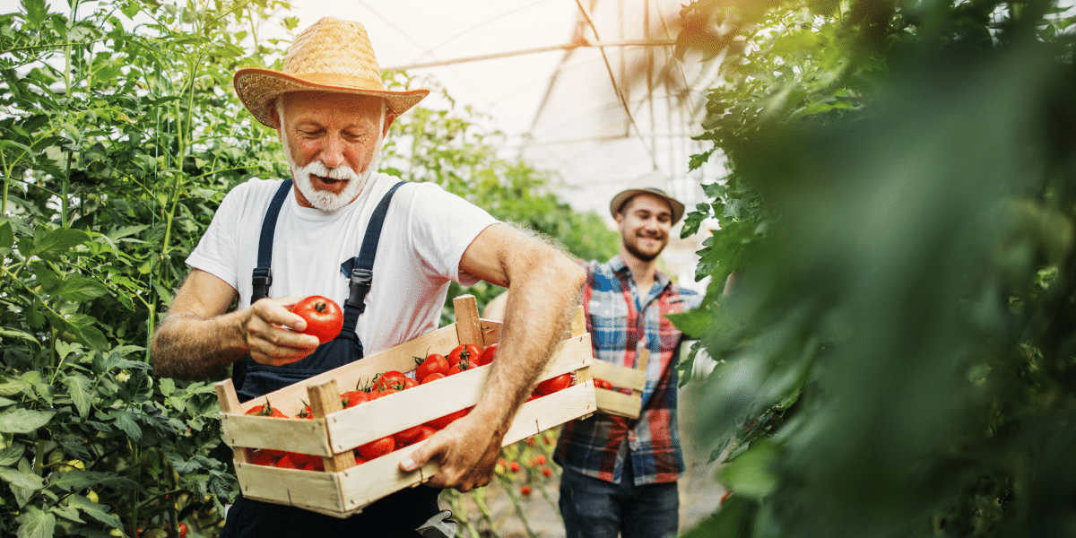 Discover the Magic of Slow Food Nations: A Celebration of Local Food and Sustainability