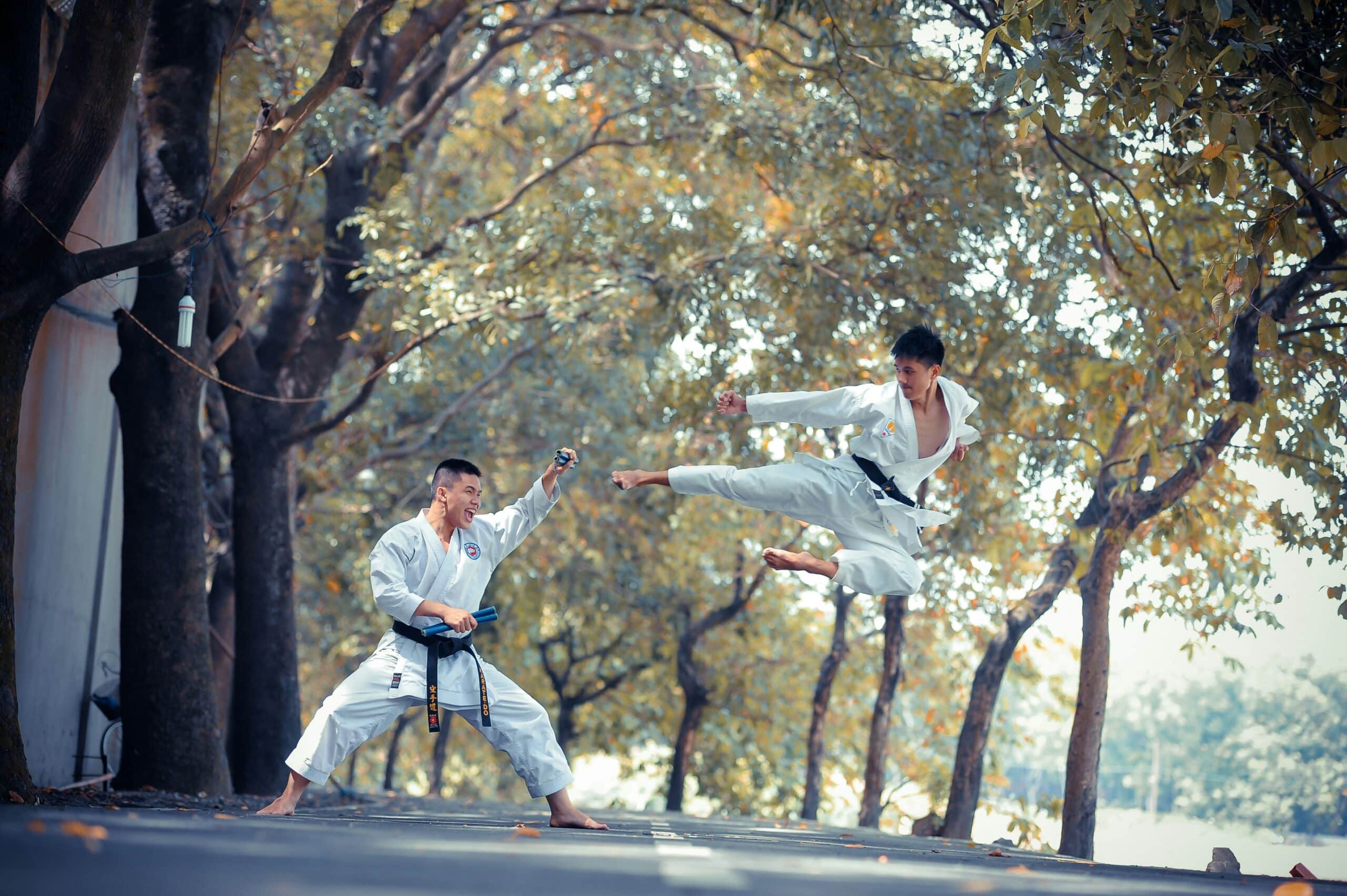 How Martial Arts Boost Fitness and Mental Discipline