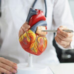 Cardiologist: Heart Health & When to See One