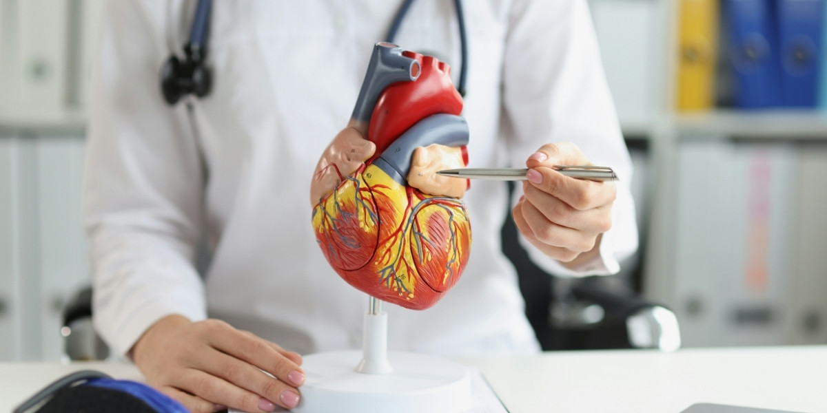 Cardiologist: Heart Health & When to See One
