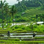 The Growing Impact of Agriculture on Water Resources