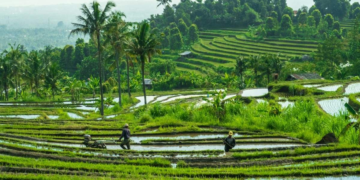 The Growing Impact of Agriculture on Water Resources