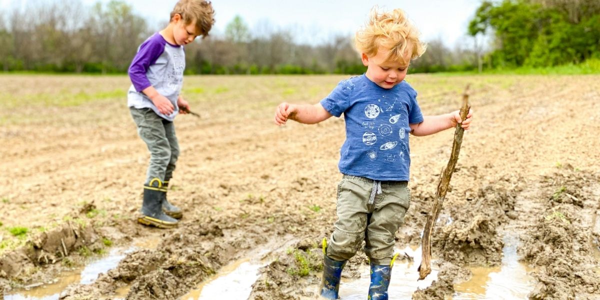 How Friendly Bacteria Support Human and Ecological Wellness