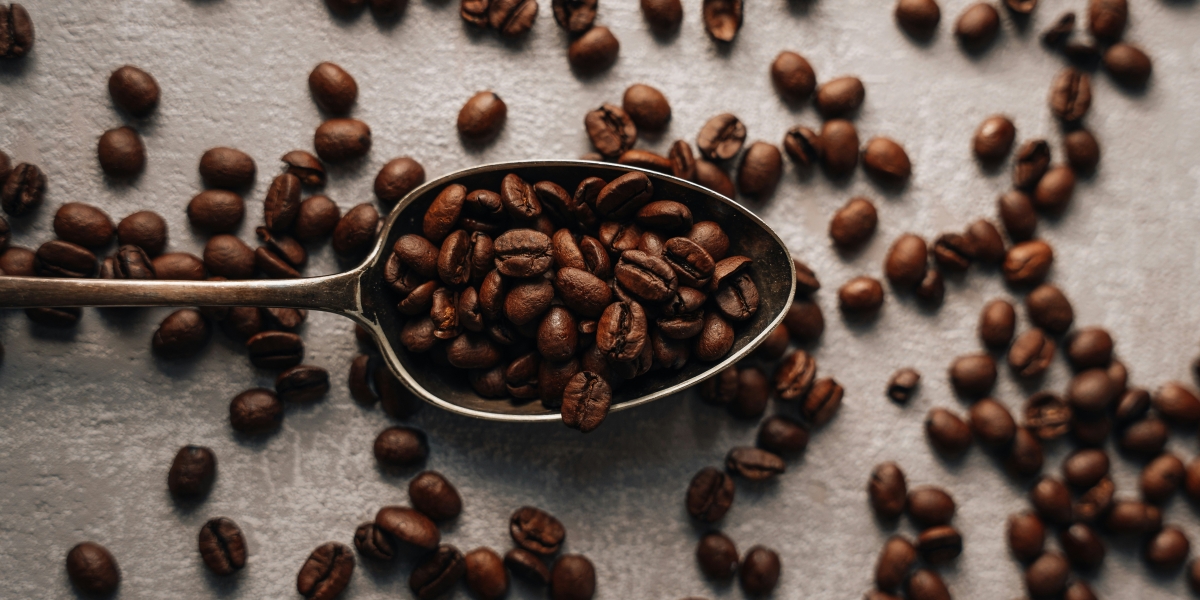 Experience Thoughtful Luxury Coffee The Sapphire Coffee Story