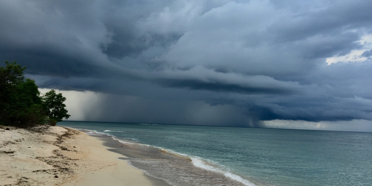 South Florida Mold Remediation Services See Increased Demand as Hurricane Season Progresses