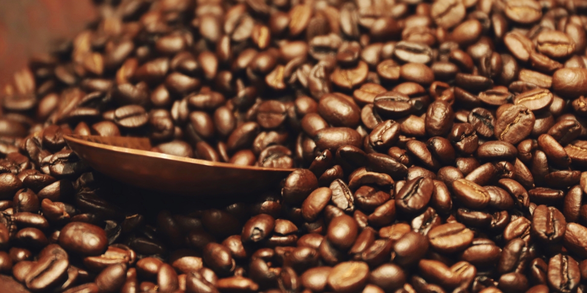 Documenting Italy’s Evolving Coffee Culture - The Role of Mauro Illiano and the Rise of the Guida dei Caffè e delle Torrefazioni d’Italia