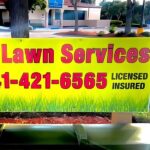 How Kent Freshwater Built a Reliable Lawn Care Service in Southwest Florida