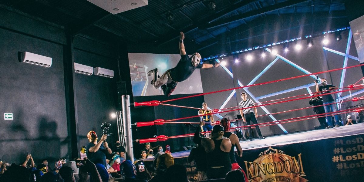 Inside World Wrestling Entertainment: From Superstars to Spectacles