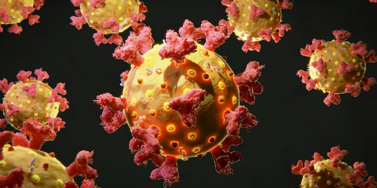 a-group-of-yellow-and-red-cells-on-a-black-background