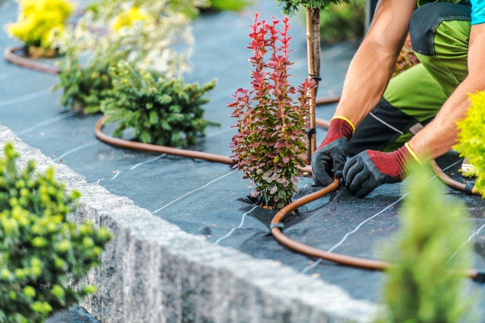 Mendez Landscape & Irrigation: Transforming Outdoor Spaces in Plano with Customized Landscaping Solutions