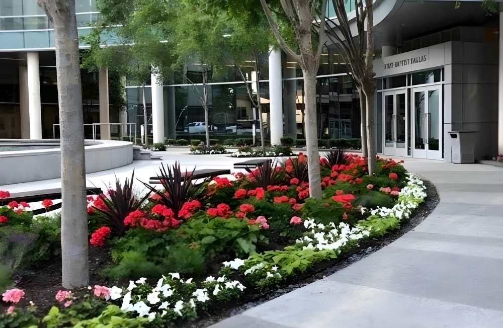 CGreens Elevating Commercial Landscaping Across North Texas