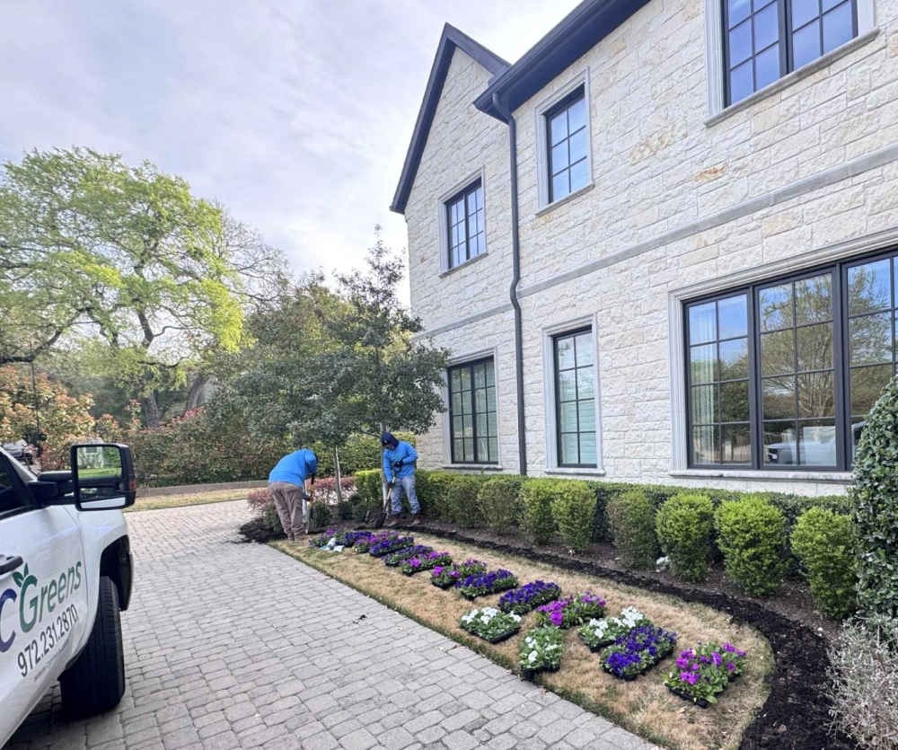 Crafting Lasting Homescapes: How CGreens Excels in Residential Landscape Design