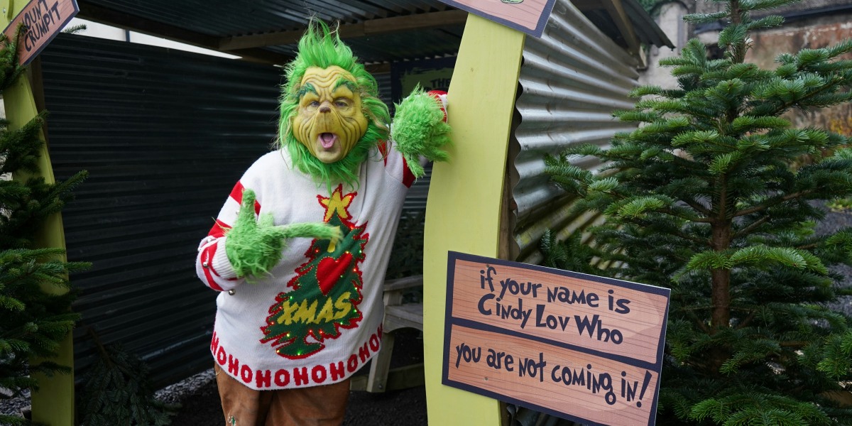 McDonald's Holiday Grinch Meal Brings Big Macs, Nuggets, and Dill Pickle Seasoning