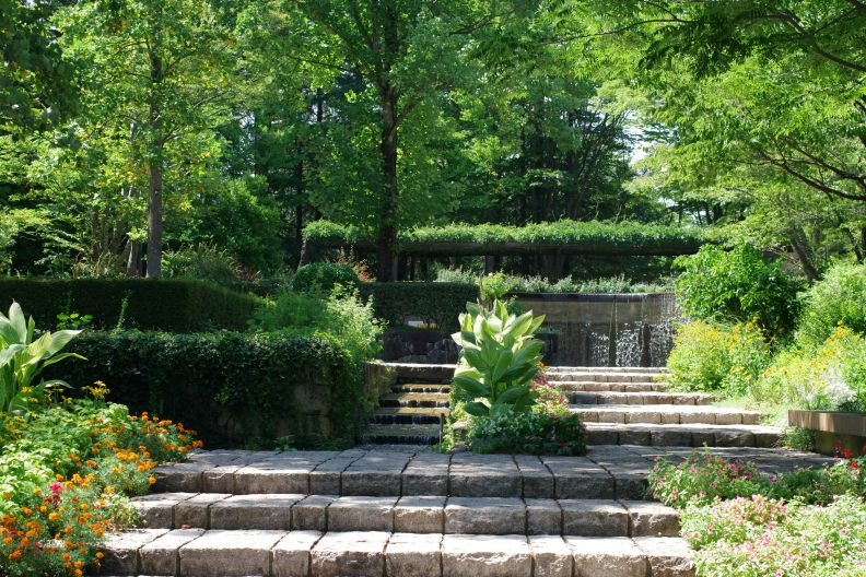 True Vine Lawn Enhances Outdoor Living in Dallas with Custom Hardscaping Solutions