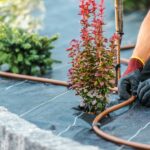 TexLawn Provides Reliable Sprinkler System Repair for Healthier Lawns in North Texas