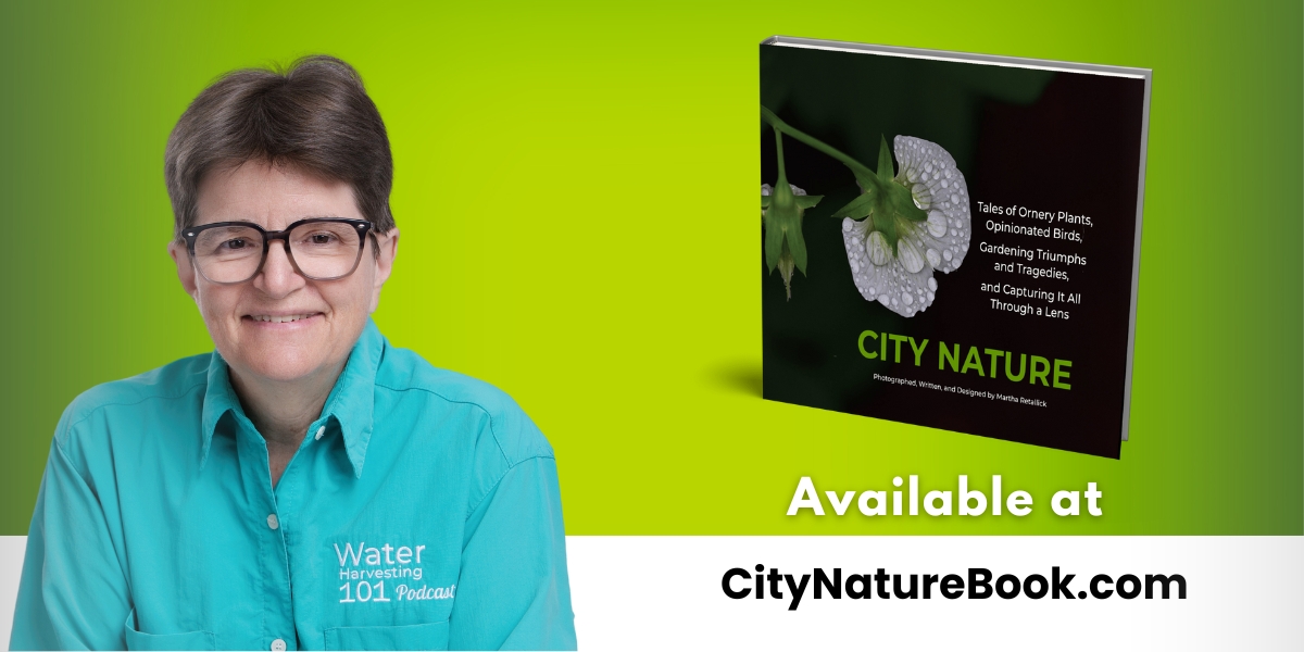 From Crushed Rock to Living Landscape: How Martha Retallick Reimagined Urban Gardening in the Desert