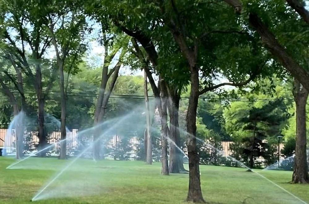 Plant Care Co: Commercial Landscaping Services for Professional Spaces in Dallas