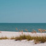 American Beach: The Historic Heart of Amelia Island's African-American Heritage