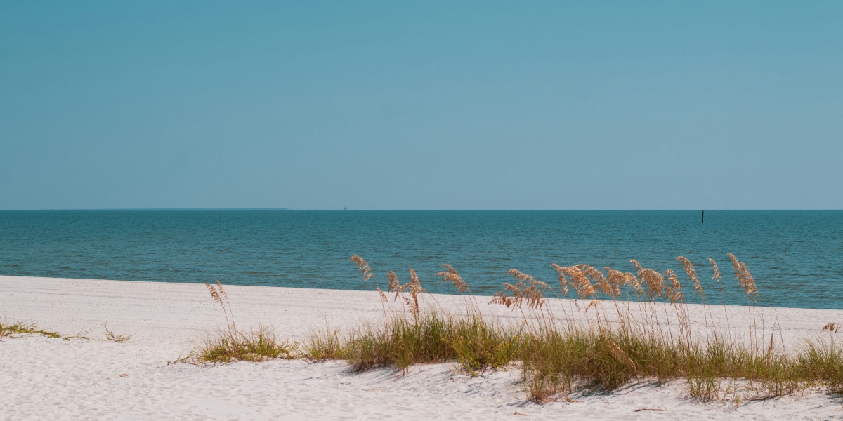 American Beach: The Historic Heart of Amelia Island's African-American Heritage