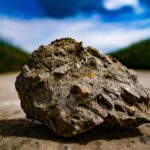 Can the Rock Popper Be Used on Tree Stumps?