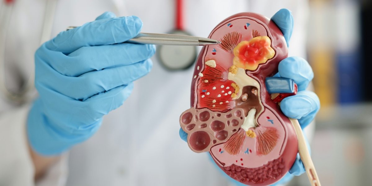 How the IOTA Model Aims to Save 14 Lives a Day