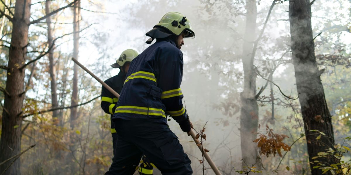 Spokane Wildfires 700 Structures Destroyed Evacuations