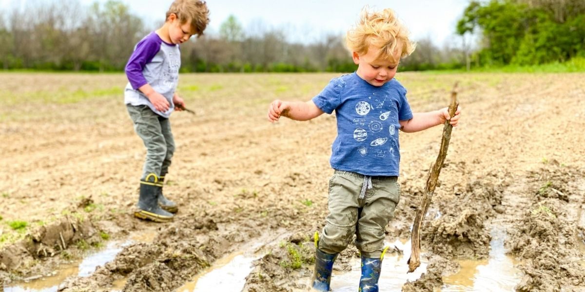 How Friendly Bacteria Support Human and Ecological Wellness