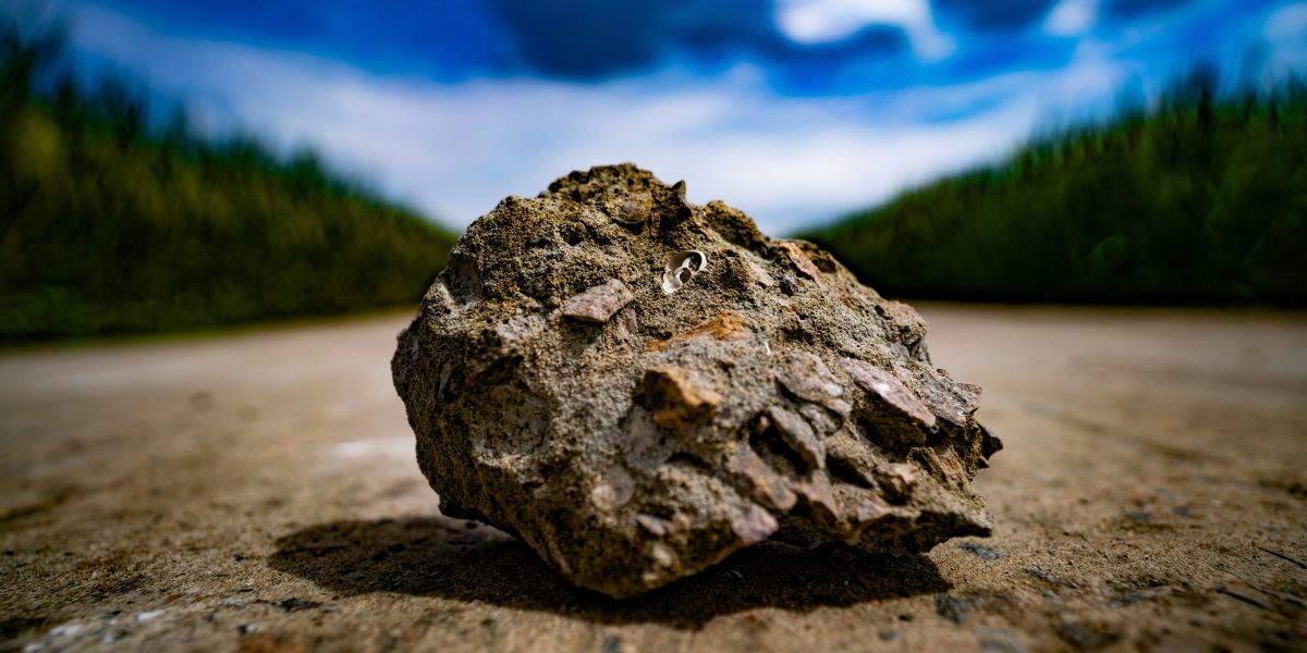 Can the Rock Popper Be Used on Tree Stumps?