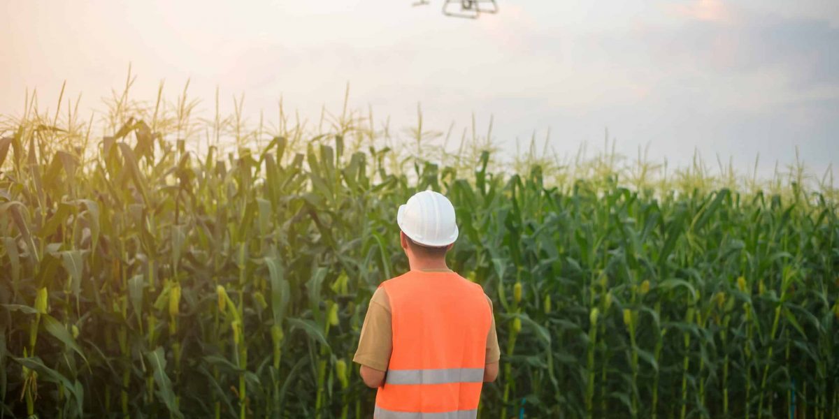 Exploring the Expanding Role of Drones in Modern Industries