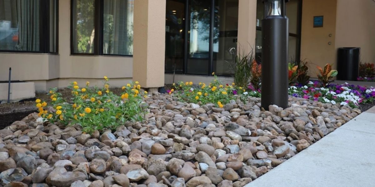 Plant Care Co: Commercial Landscaping Services for Professional Spaces in Dallas