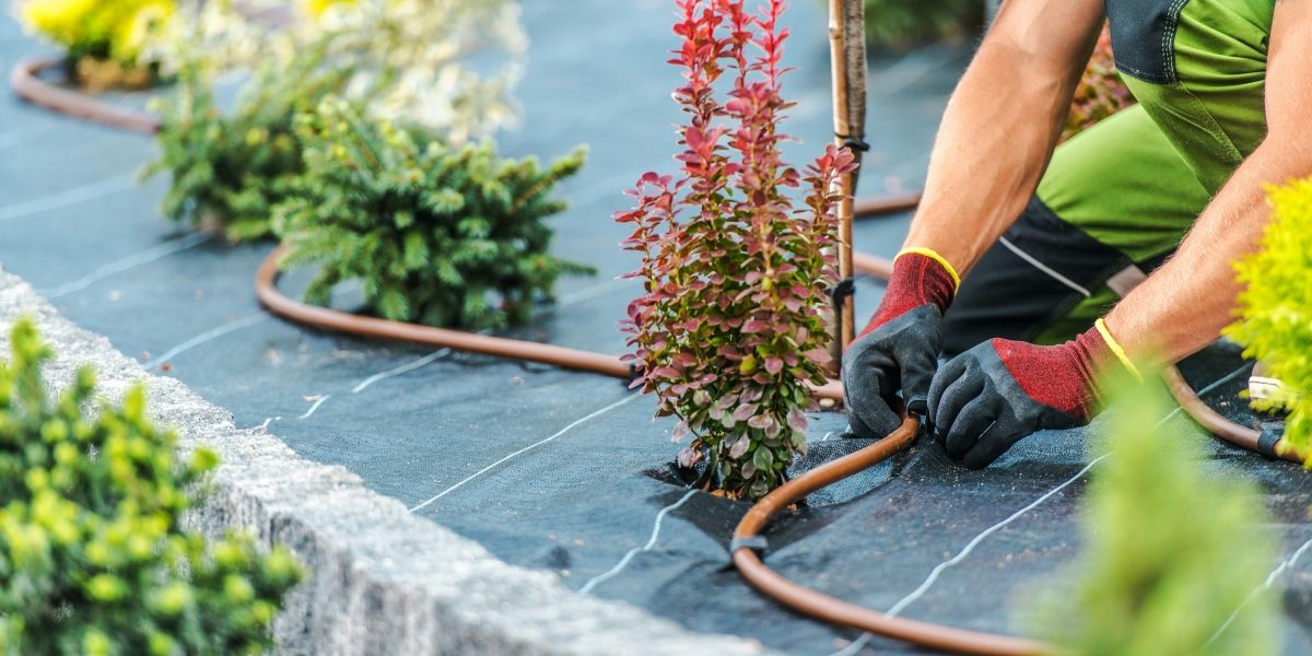 TexLawn Provides Reliable Sprinkler System Repair for Healthier Lawns in North Texas