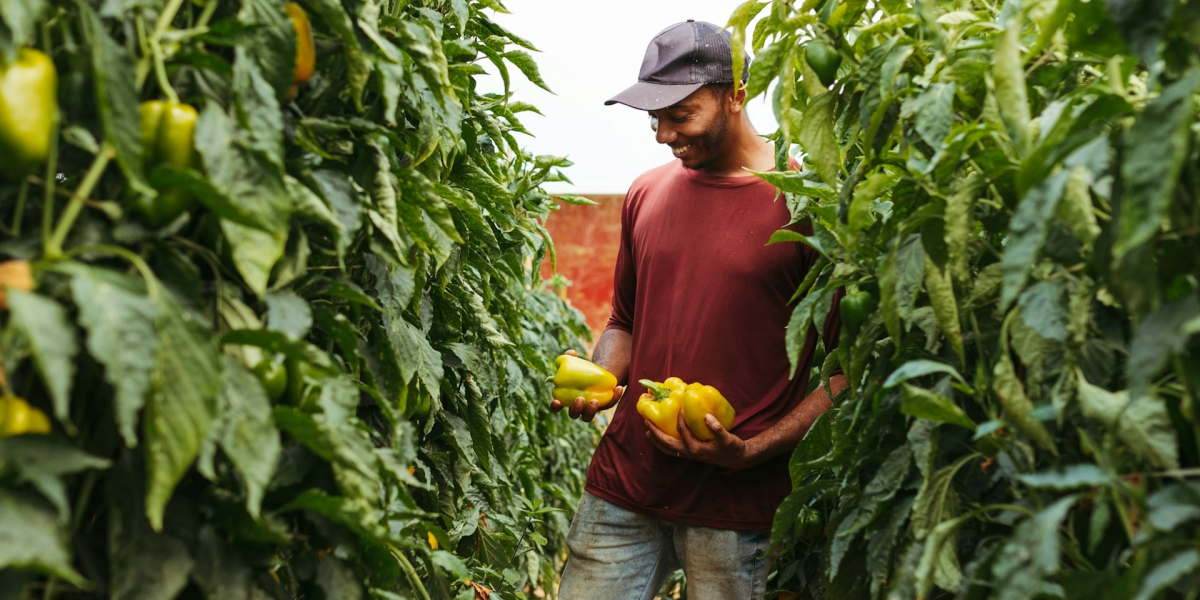 The Benefits of Eating Fresh Produce: A Guide to a Healthier Lifestyle